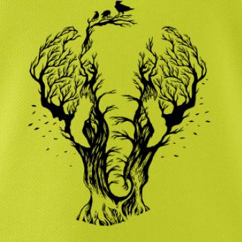 Slon ilustrace