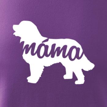 Bernský salašnický pes máma obrys