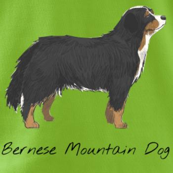 Bernese mountain dog kreslený