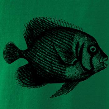 Mořská ryba kreslená