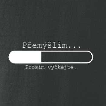 Přemýšlím Přemýšlím