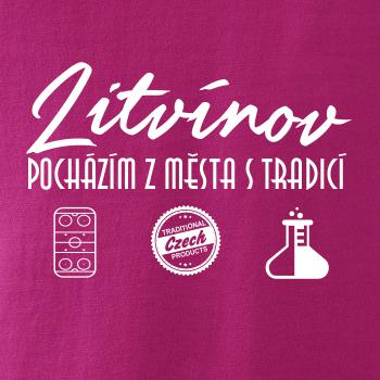 Litvínov město s tradicí Litvínov město s tradicí