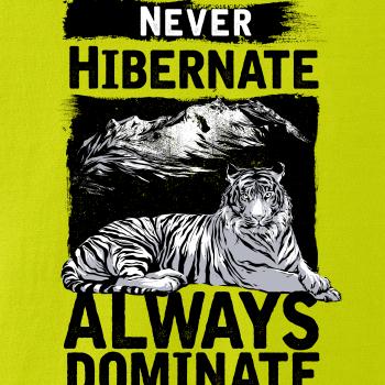 Never Hibernate