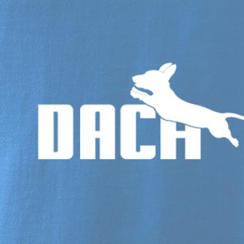 Jezevčík Dach