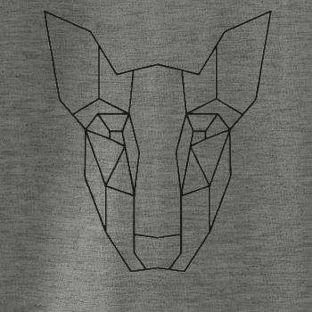 Americký Pit Bull Teriér - Geometrie