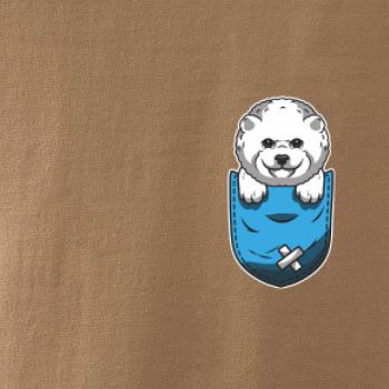 Bišonek v kapsičce