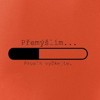 Přemýšlím Přemýšlím
