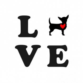 Čivava love