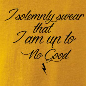 I solemnly swear that I'm up to no good