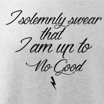 I solemnly swear that I'm up to no good