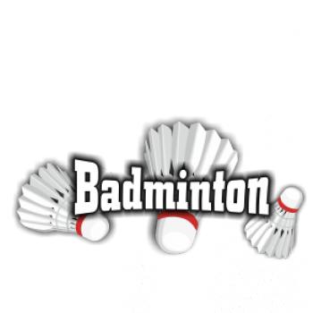 Badminton - tři košíky