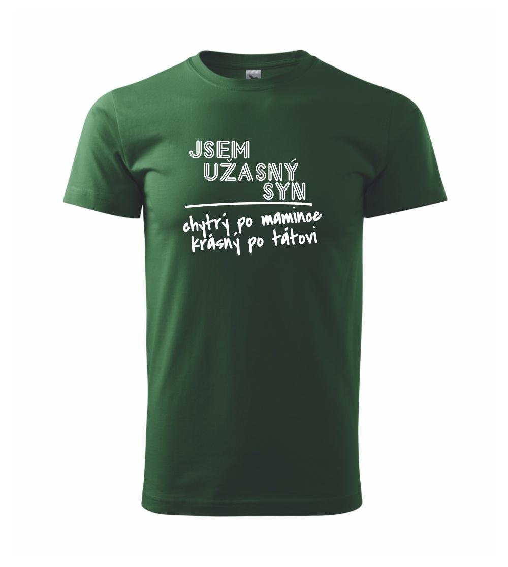 Jsem úžasný syn Jsem úžasný syn