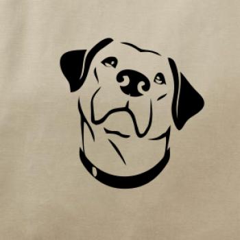 Labrador obrys