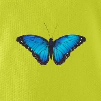 Motyl babočka Morpho Peleides