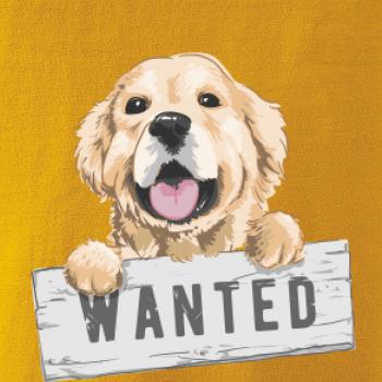 Zlatý retriever - štěně wanted