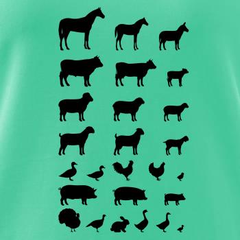 Zvířátka z vesnice