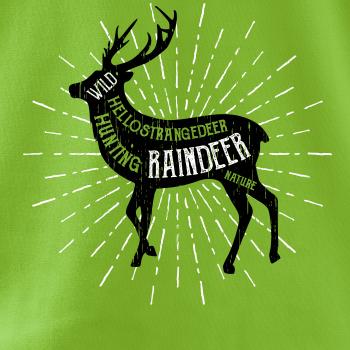Deer raindeer