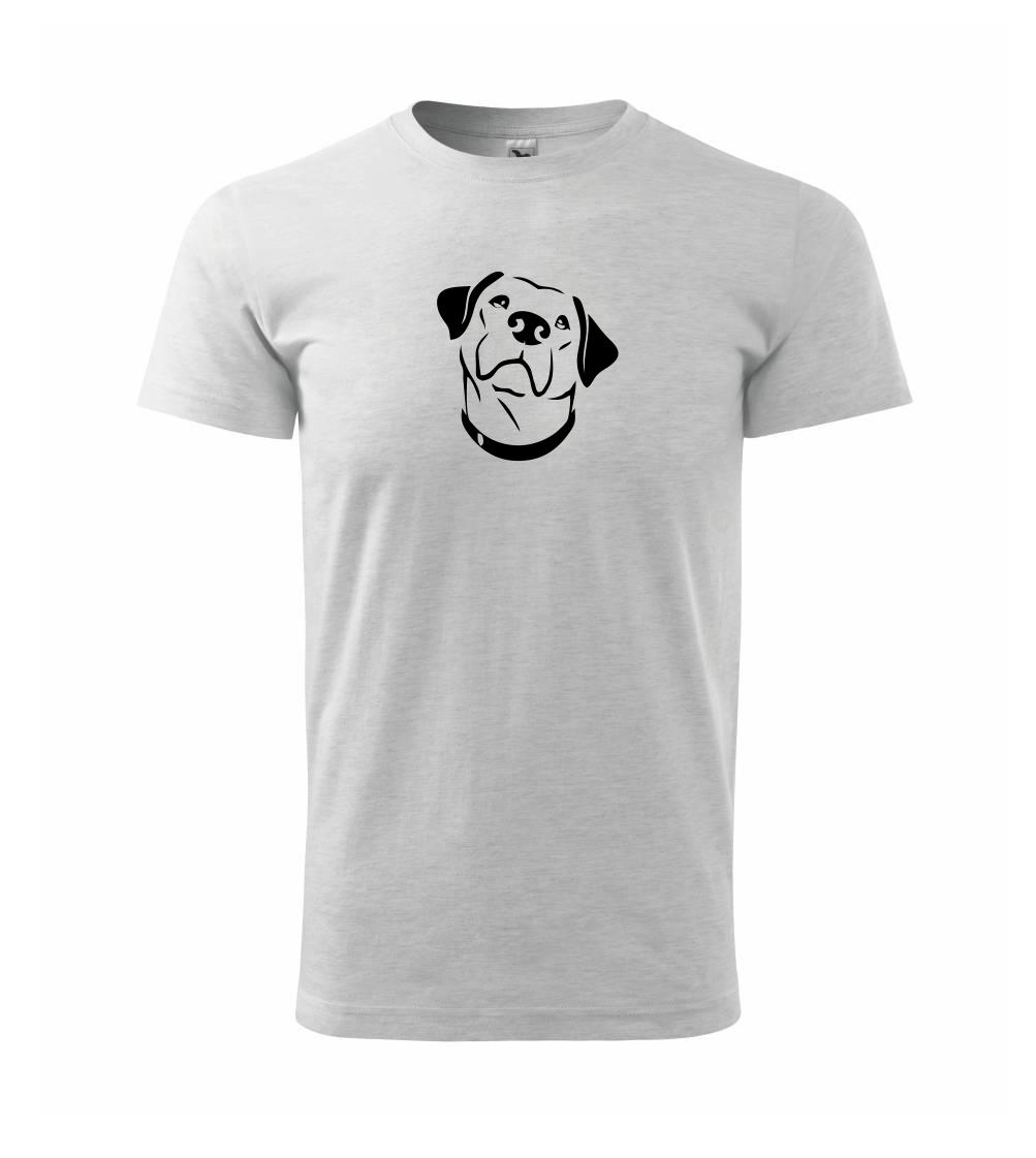 Labrador obrys Labrador obrys
