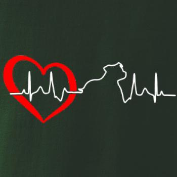 Stafordšírsky bulteriér EKG Stafordšírsky bulteriér EKG