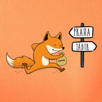 Běží liška k táboru