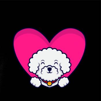 Bišonek zalezlý v srdci