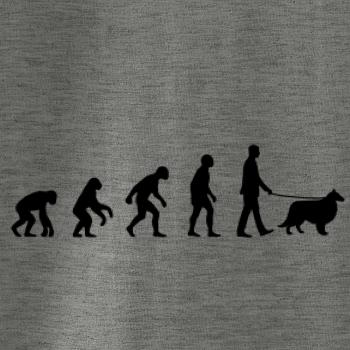 Evoluce pes Sheltie (muž-žena)