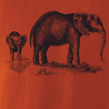 Slonice a slůně kreslené