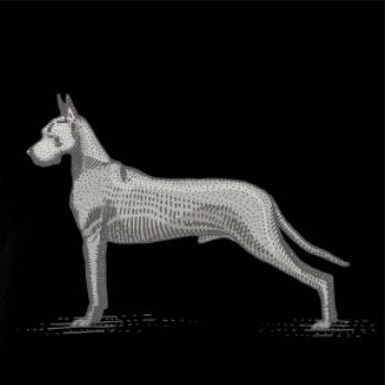 Vintage Great dane