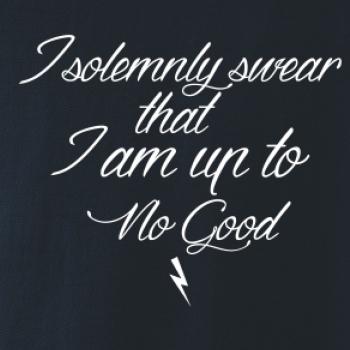 I solemnly swear that I'm up to no good