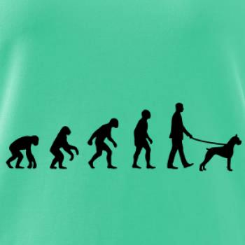 Evoluce pes boxer (muž-žena)