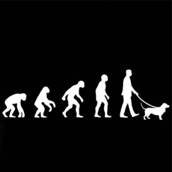 Evoluce pes baset (muž-žena)