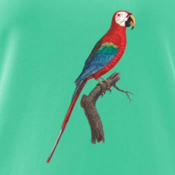 Papoušek červený na větvi