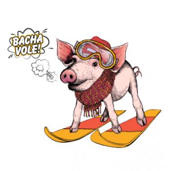 Bacha vole, prase! Bacha vole, prase!
