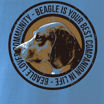 Dog beagle