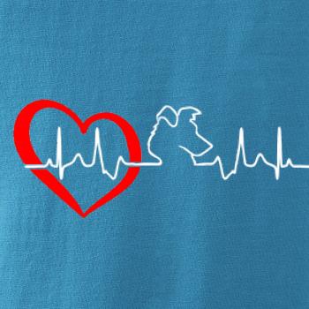 Border kolie EKG Border kolie EKG