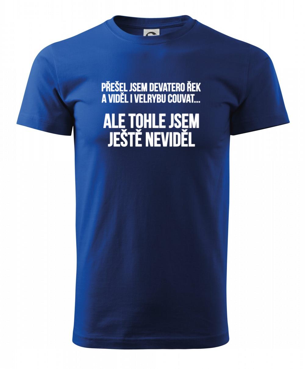 Viděl jsem velrybu couvat Viděl jsem velrybu couvat