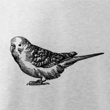 Tužkou kreslený Papoušek