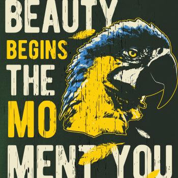 Bird macaw