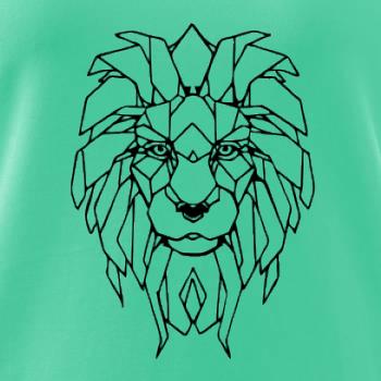 Geometrie - lev tvář