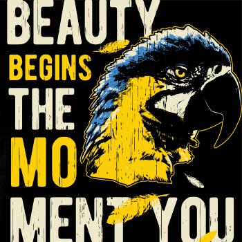 Bird macaw
