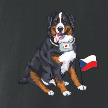 Pes záchranář bernský salašnický