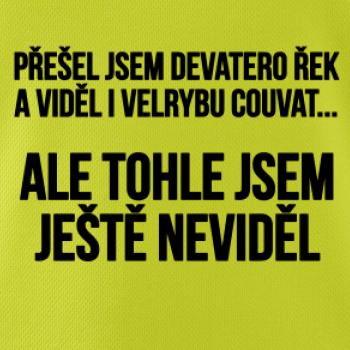 Viděl jsem velrybu couvat