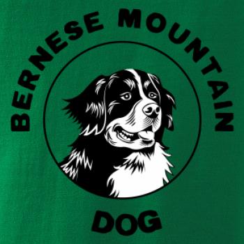 Bernese mountain dog v kruhu