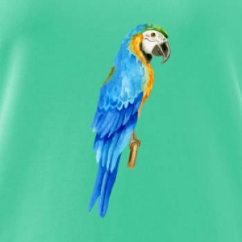 Ara modrá kreslená