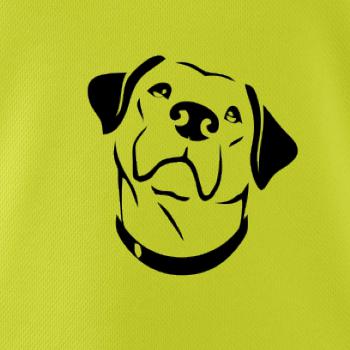 Labrador obrys