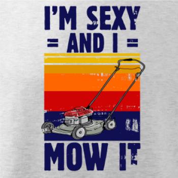 I'm sexy and i mow it