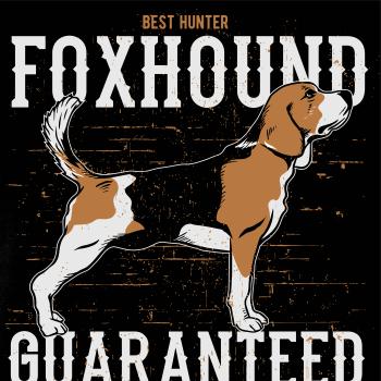 Dog foxhound