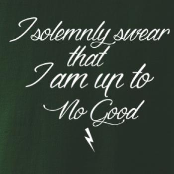 I solemnly swear that I'm up to no good