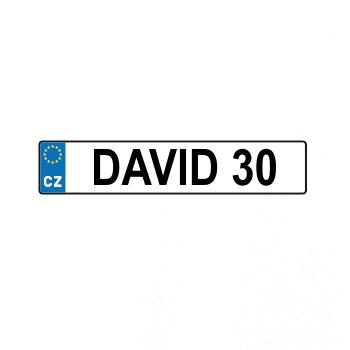 SPZ David 30