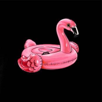 Nafukovací plameňák